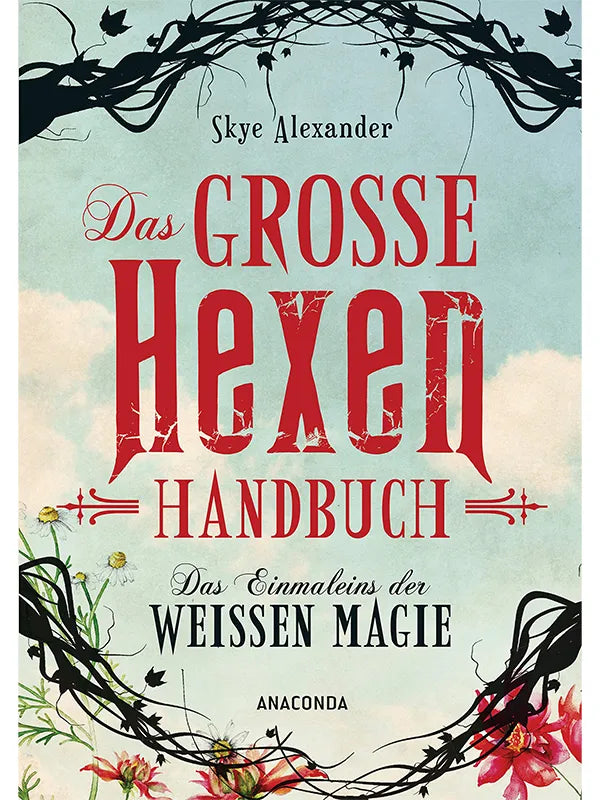 Das Buchcover "Das große Hexen Handbuch" von Skye Alexander