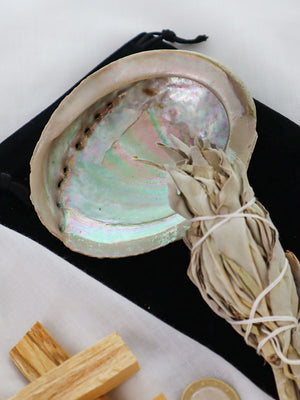 Abalone Smudge Muschel mit Perlmutt im Inneren
